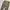 Fever Green Parachute Nylon Slim Fit Pants Relaxed Gorpcore photo 4