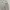 Nike Casual Hoody Pria gray photo 6