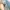 Nike Air Zoom Alphafly Next% 3 Running  photo 5