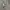 Spao Indie Casual Trench coat Pria white gray photo 6