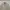 Spao Indie Casual Trench coat Pria white gray photo 3