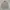 Spao Indie Casual Trench coat Pria white gray photo 2