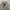 Spao Indie Casual Trench coat Pria white gray photo 4