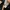 Celana Jogger Adidas Three Stripes photo 10