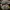 CABELA’S Goretex Boots | No Box photo 4
