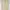 09WOMEN BEIGE BAGGY PANTS photo 4