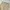 09WOMEN BEIGE BAGGY PANTS photo 7
