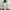09WOMEN BEIGE BAGGY PANTS