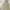 09WOMEN BEIGE BAGGY PANTS photo 6