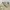 09WOMEN BEIGE BAGGY PANTS photo 5