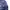 GAP KIDS FLORAL ZIP JACKET | JAKET ANAK | KDU photo 3