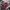Ed Hardy Vintage Y2K Hat Pria white red photo 1