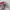 Ed Hardy Vintage Y2K Hat Pria white red photo 6