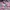 Uniqlo Streetwear Vintage Casual shirt Pria pink photo 6