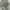 Starwars original x Lego  photo 1