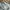 Starwars original x Lego  photo 2