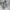 Streetwear Sportswear Short Pria multicolor photo 2