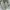 Streetwear Sportswear Short Pria multicolor photo 3