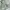 Streetwear Sportswear Short Pria multicolor photo 4