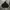 Blank hoodie carlsberg heineken photo 1