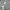 BABY GAP KIDS STRIPE ZIP JACKET | JAKET ANAK | KDU 3  photo 3