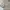 Hermes Luxury Polo shirt Pria cream tan photo 3