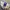 CREWNECK NIKE BASIC BORDIR LOGO photo 3