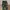 Camo cargo pants photo 1