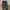 Camo Cargo Pants