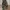 Camo cargo pants photo 2