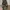 Camo Cargo Pants