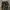 Camo cargo pants photo 4