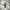 Casio Wave Ceptor Watches Analog Digital Japan Movt photo 3
