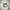 Casio Wave Ceptor Watches Analog Digital Japan Movt