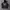 Hoodie frisco choppers  photo 1