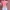 Pomelo Y2K Casual Crop top Wanita pink photo 2