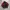 Vintage Bando Sport Windbreaker Jacket photo 1