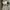 Top babydoll photo 1