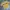T-SHIRT GUESS YELLOW  photo 5