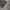 GLW Grey Raw Baggy Jeans photo 7