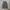 GLW Grey Raw Baggy Jeans photo 4