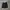 Dickies Black Cellpocket Loose fit photo 2
