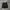 Dickies Black Cellpocket Loose Fit
