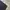 Dickies Black Cellpocket Loose fit photo 4