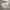 Van Horn Vintage Sport Casual Jacket photo 4