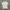 TSHIRT NIKE TEE