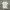 TSHIRT NIKE TEE photo 2