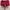 Polham Sportswear Casual Short Pria red photo 1