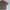 DICKIES BOXY OVERSIZED WORKSHIRT- Olive photo 3