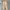 work longpants johnbull japanese brand photo 3